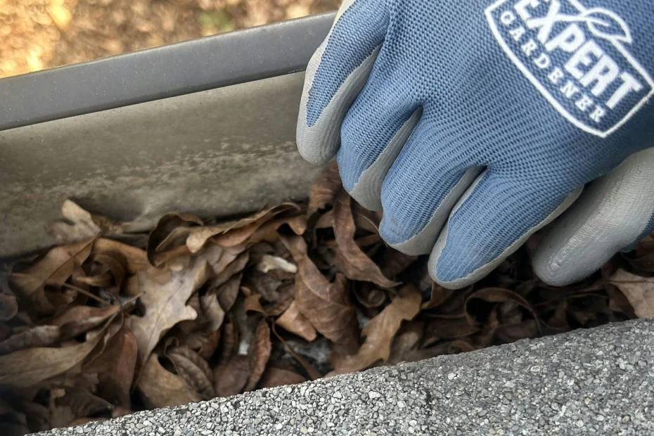 Gutter Cleaning Rockwall TX